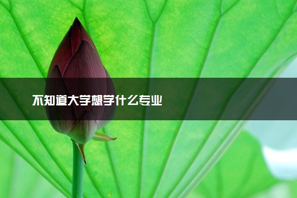 不知道大学想学什么专业