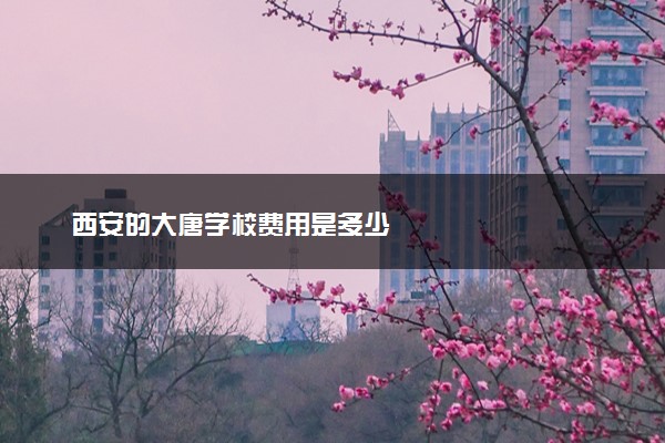 西安的大唐学校费用是多少