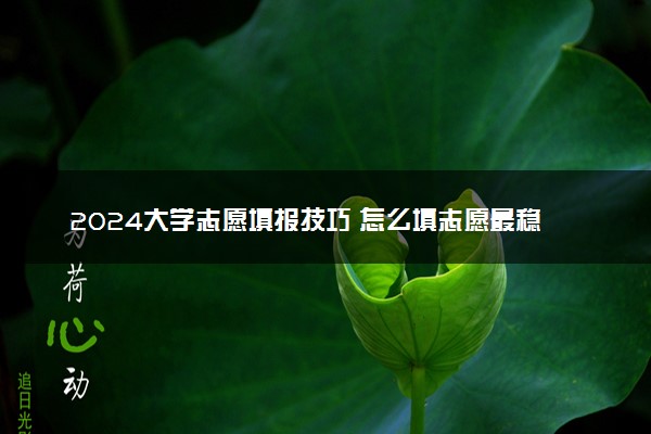 2024大学志愿填报技巧 怎么填志愿最稳