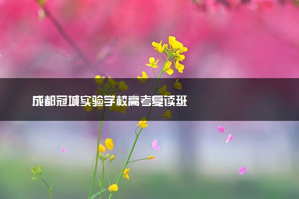 成都冠城实验学校高考复读班
