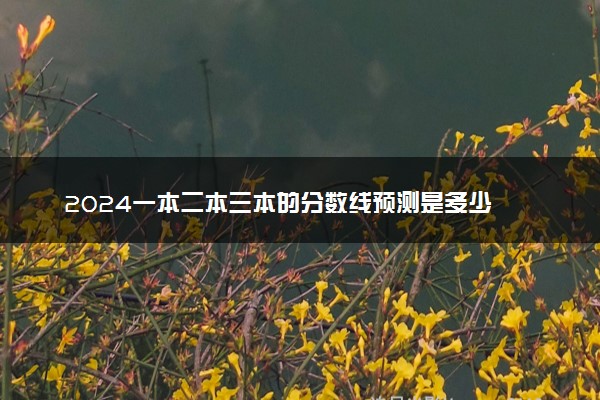 2024一本二本三本的分数线预测是多少 需要多少分能考上