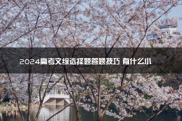 2024高考文综选择题答题技巧 有什么小窍门