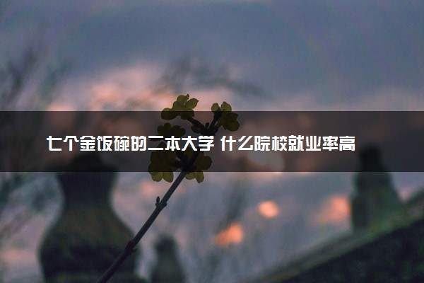 七个金饭碗的二本大学 什么院校就业率高