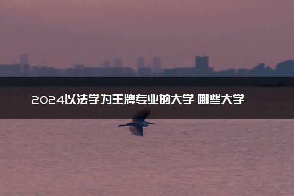 2024以法学为王牌专业的大学 哪些大学实力强