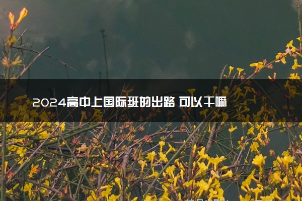 2024高中上国际班的出路 可以干嘛
