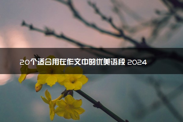 20个适合用在作文中的优美语段 2024高考作文必备