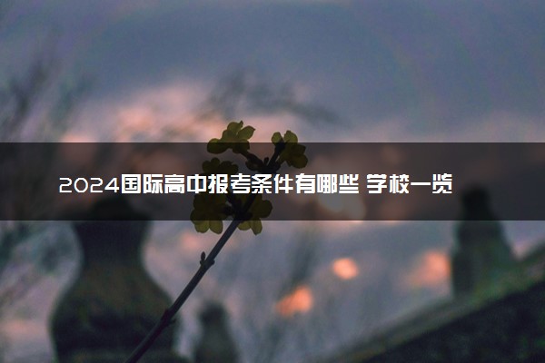 2024国际高中报考条件有哪些 学校一览表