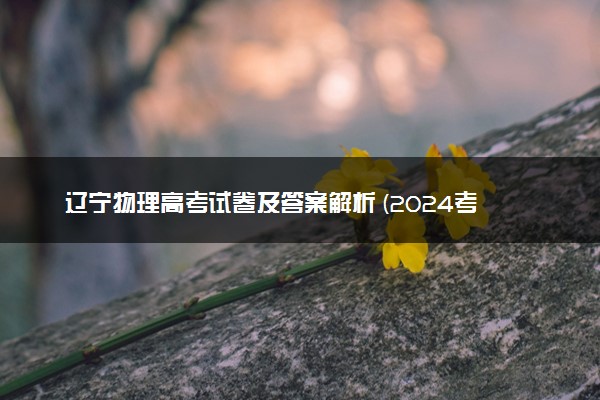 辽宁物理高考试卷及答案解析 (2024考后更新)