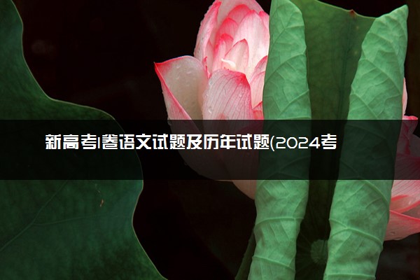 新高考I卷语文试题及历年试题（2024考后更新）