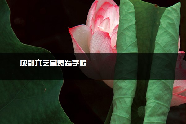 成都六艺堂舞蹈学校