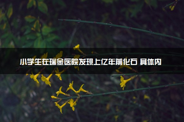 小学生在瑞金医院发现上亿年前化石 具体内容