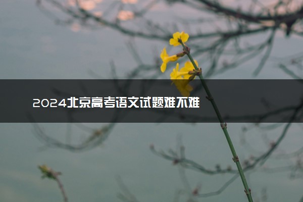 2024北京高考语文试题难不难