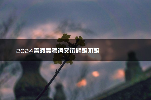 2024青海高考语文试题难不难