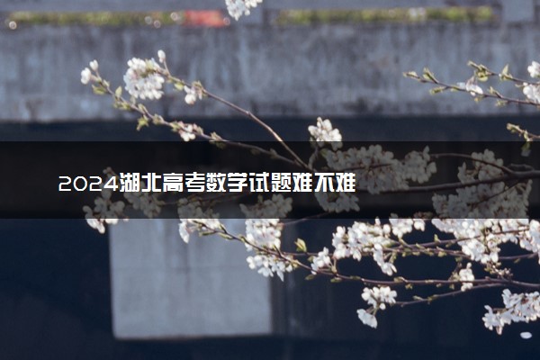 2024湖北高考数学试题难不难