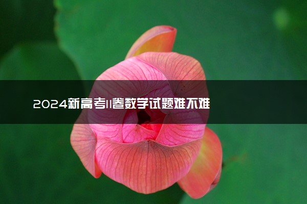 2024新高考II卷数学试题难不难