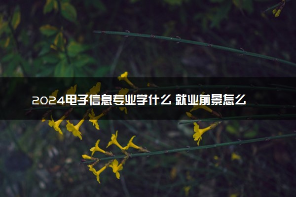 2024电子信息专业学什么 就业前景怎么样