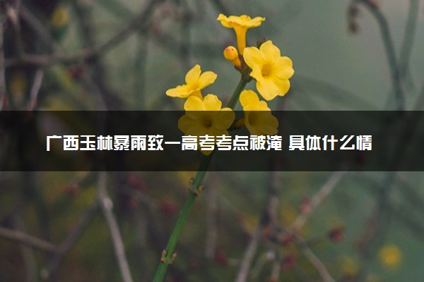 广西玉林暴雨致一高考考点被淹 具体什么情况