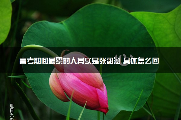 高考期间最累的人其实是张韶涵 具体怎么回事