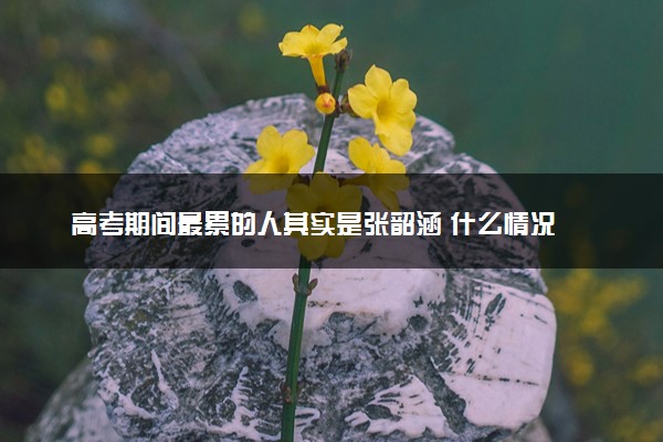 高考期间最累的人其实是张韶涵 什么情况