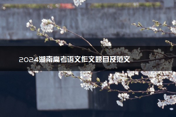 2024湖南高考语文作文题目及范文