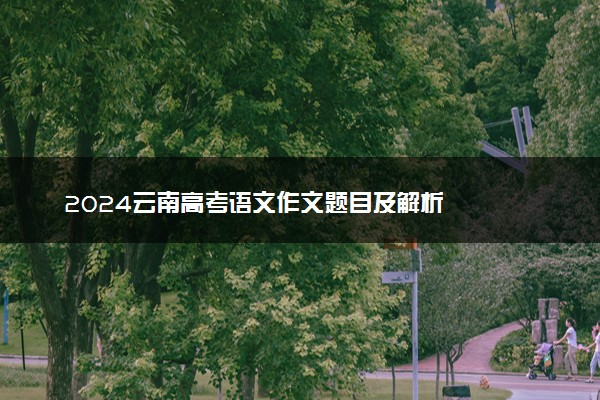 2024云南高考语文作文题目及解析