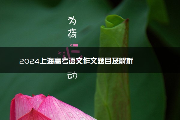 2024上海高考语文作文题目及解析