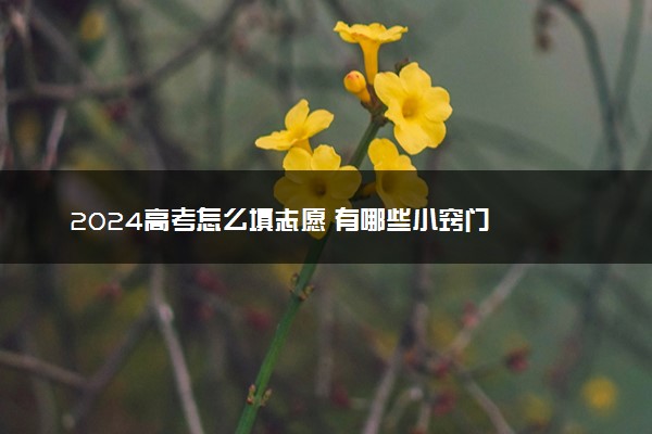 2024高考怎么填志愿 有哪些小窍门