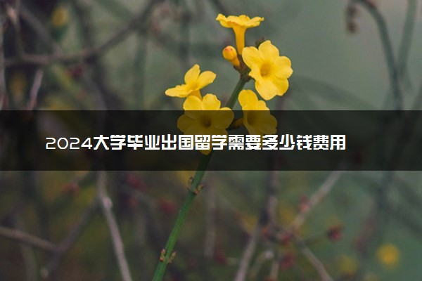 2024大学毕业出国留学需要多少钱费用 要具备哪些条件