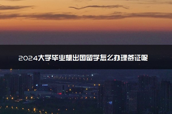 2024大学毕业想出国留学怎么办理签证呢 拿什么学历好