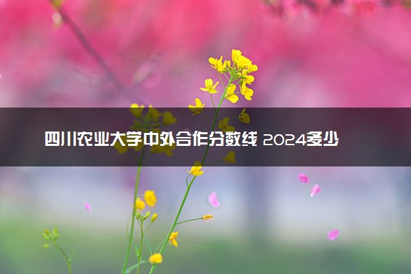 四川农业大学中外合作分数线 2024多少分可以录取