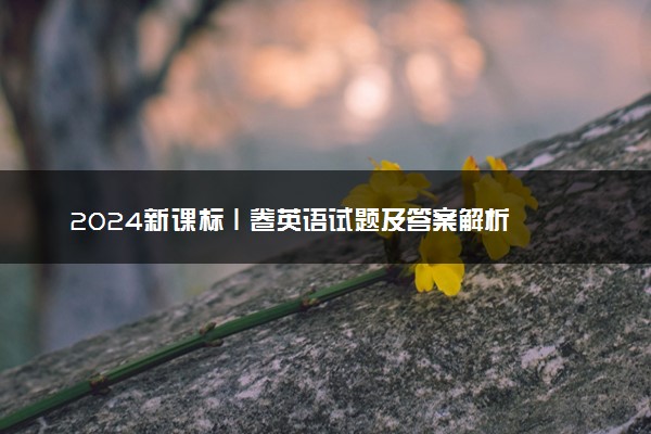 2024新课标Ⅰ卷英语试题及答案解析