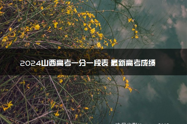2024山西高考一分一段表 最新高考成绩排名【理工+文史】