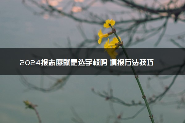 2024报志愿就是选学校吗 填报方法技巧有哪些