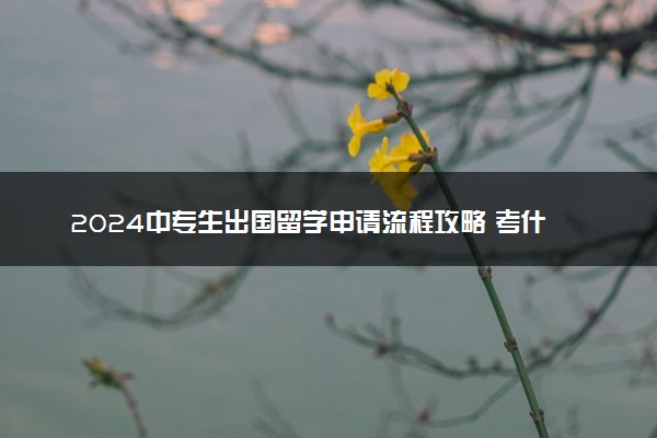 2024中专生出国留学申请流程攻略 考什么文凭