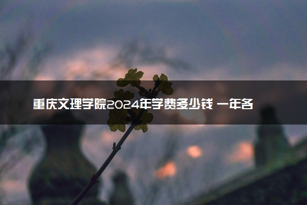 重庆文理学院2024年学费多少钱 一年各专业收费标准