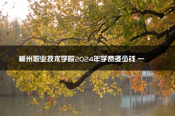 郴州职业技术学院2024年学费多少钱 一年各专业收费标准