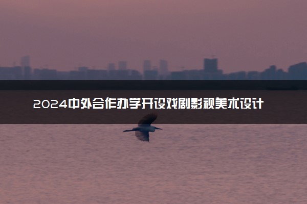 2024中外合作办学开设戏剧影视美术设计专业的学校有什么