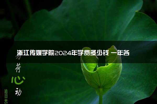 浙江传媒学院2024年学费多少钱 一年各专业收费标准