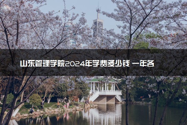 山东管理学院2024年学费多少钱 一年各专业收费标准