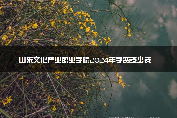 山东文化产业职业学院2024年学费多少钱 一年各专业收费标准