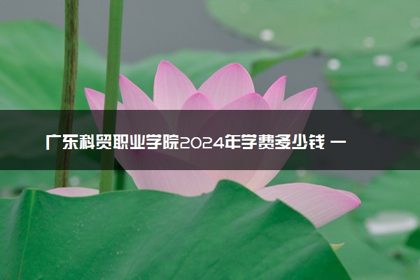 广东科贸职业学院2024年学费多少钱 一年各专业收费标准
