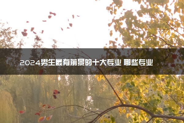 2024男生最有前景的十大专业 哪些专业吃香收入高