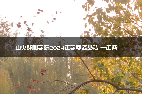 中央戏剧学院2024年学费多少钱 一年各专业收费标准