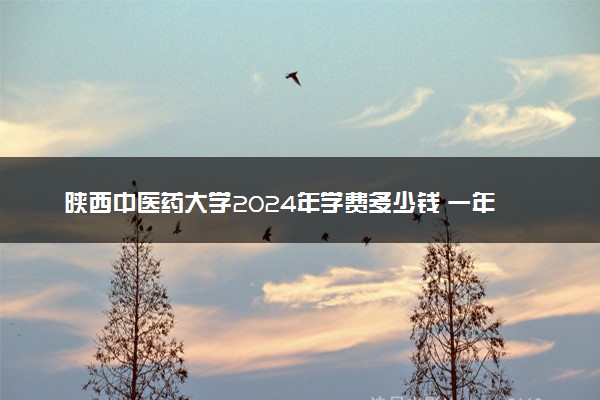 陕西中医药大学2024年学费多少钱 一年各专业收费标准
