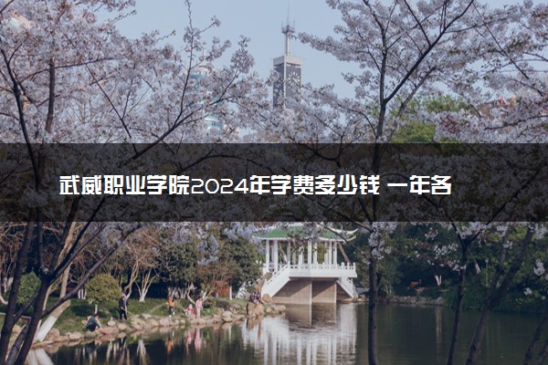 武威职业学院2024年学费多少钱 一年各专业收费标准