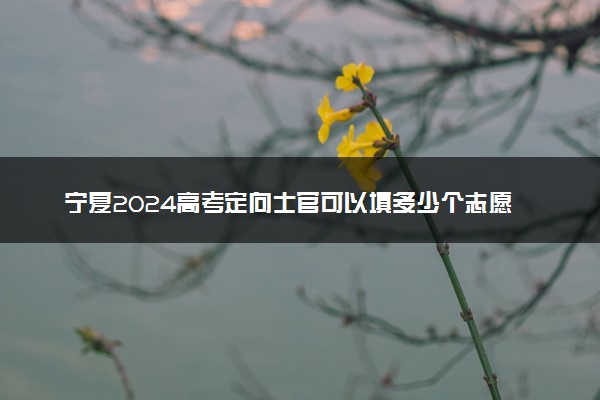 宁夏2024高考定向士官可以填多少个志愿 志愿设置及填报技巧