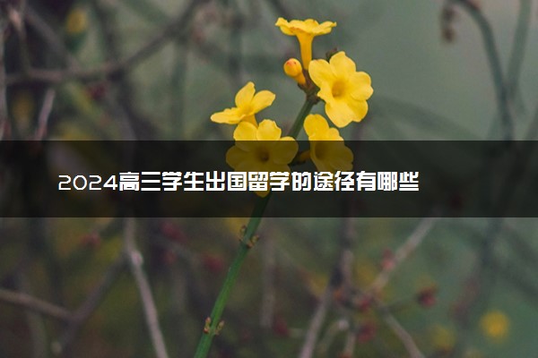 2024高三学生出国留学的途径有哪些