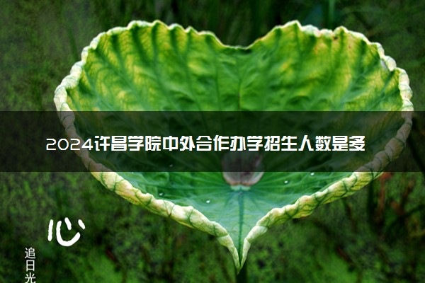 2024许昌学院中外合作办学招生人数是多少 学费是什么