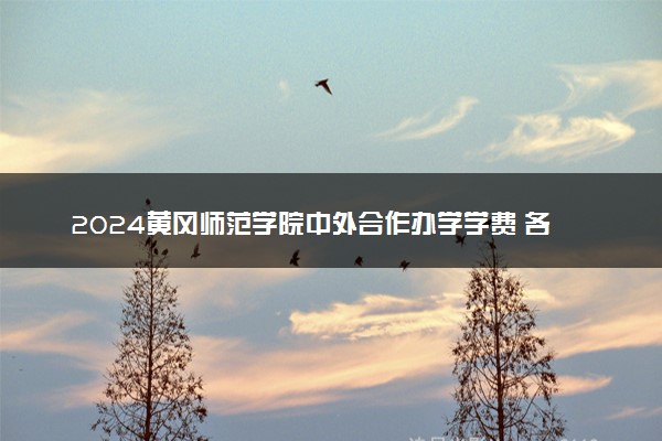 2024黄冈师范学院中外合作办学学费 各专业最新收费标准