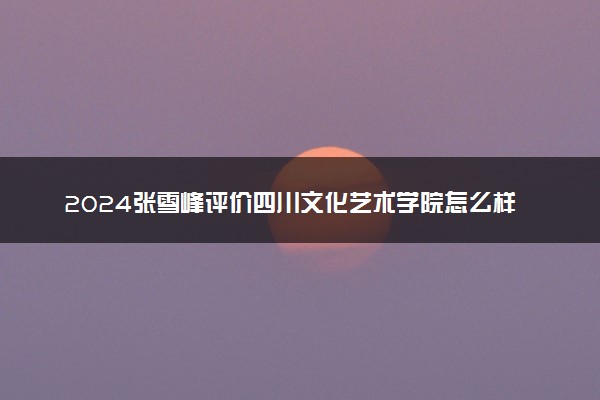 2024张雪峰评价四川文化艺术学院怎么样 什么档次多少分能上
